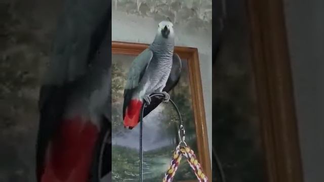 Доброго воскресного утра всем нашим зрителям!