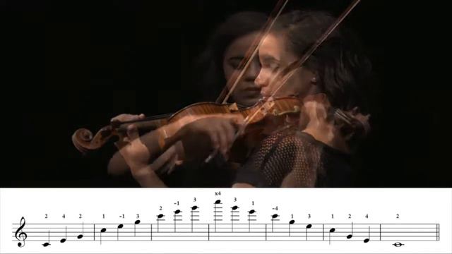 Violin And Viola Advanced Left Hand Technique