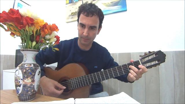 Una Canción Que Te Llega Al Alma: Vincent 🎨 #DonMcLean Guitar Classical🎵