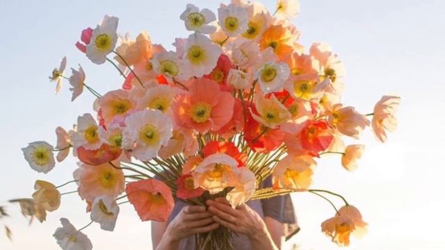 Хорошая песня «Девочка Весна» Автор музыки Сергей Куренков