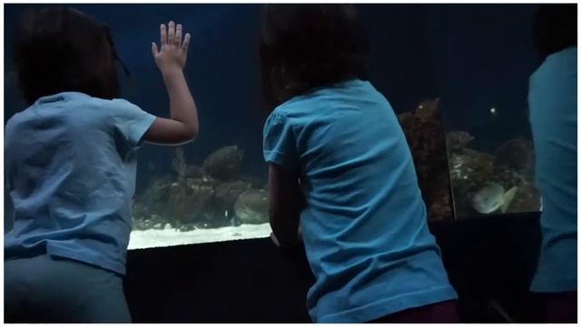 Vancouver Aquarium & FT | Week 50-C