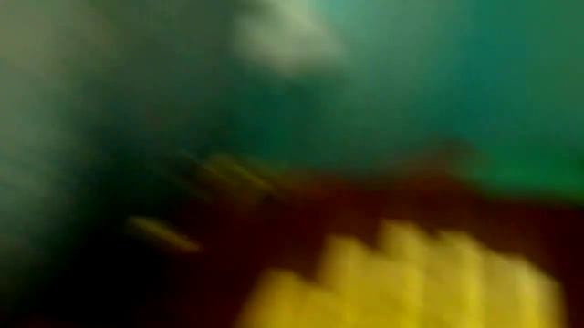 Afbd81c05ff2d23062d5707a58c8fbaa