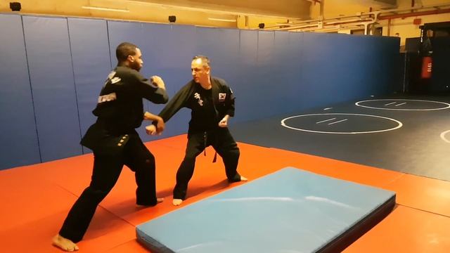 Kuk Sool Won Adult Class