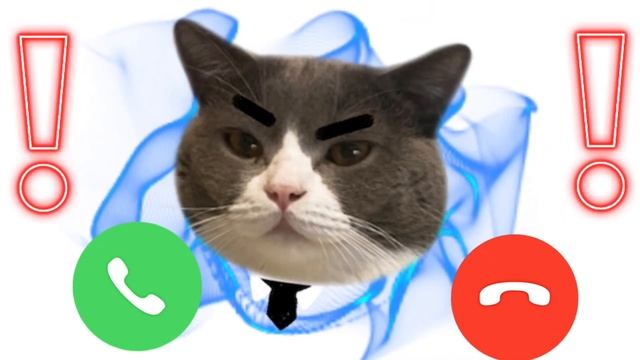 Apple Best Ringtone Iphone 15 Pro Max Cat?#iphone EP.12