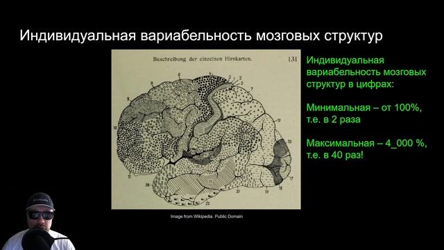 Как работает наш мозг