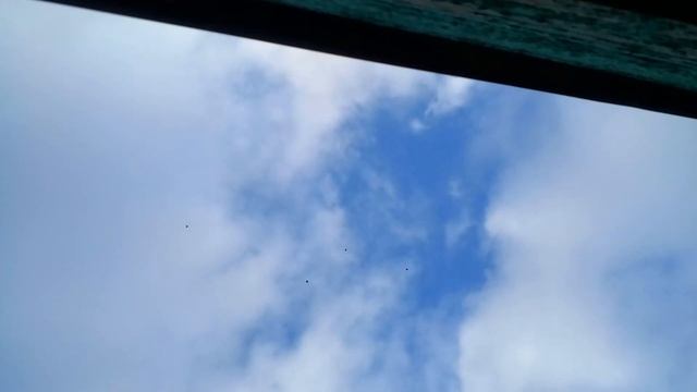 Ветра вообще нет.Курсаки в небе.