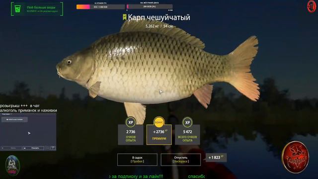 Russian Fishing 4 РОЗЫГРЫШ 350 Русская Рыбалка 4