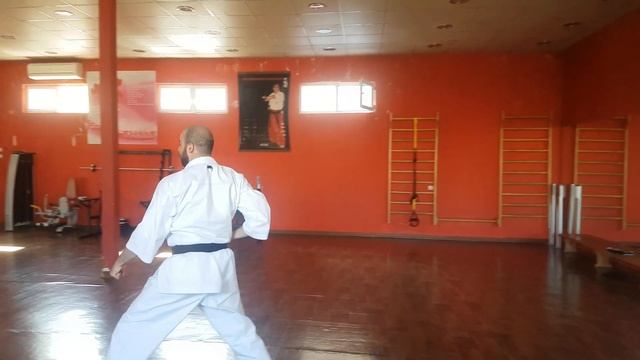 Kata Heian Shodan . Traditional Shotokan Fudokan Karate Do