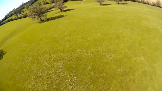 Blackout Super Mini H - Red Kites And WOT