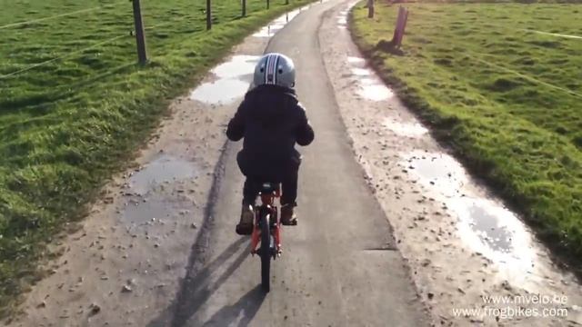 Frog48 - On the road