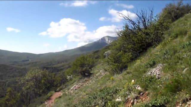 ВЕТЕРАНАМ ОТ БЕРКУТА