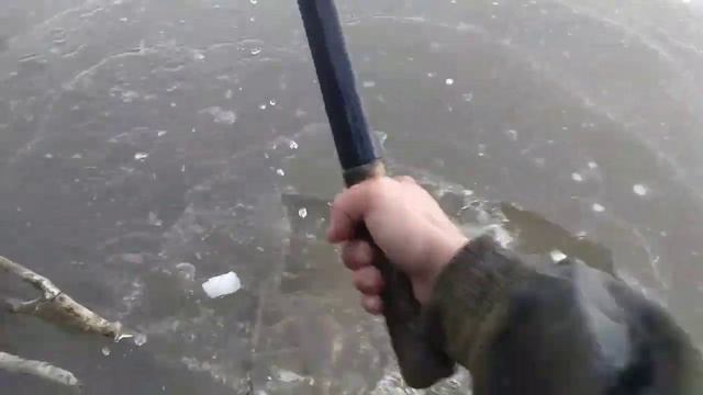 ЛОВЛЯ РАКОВ ЗИМОЙ. РАКИ