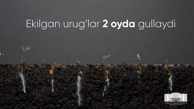 1334f643e48de8c3f1af3a63fd161506