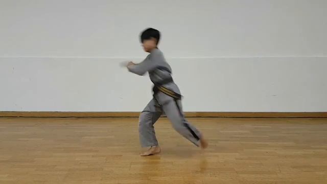Sin Moo Hapkido, Coups De Pieds 360 ° (spin Kick) Néo TACCHI