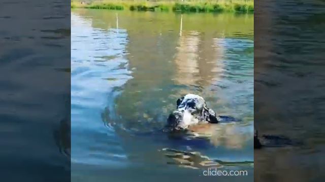 A58eb19f130e12b10f9168bdffb41acb