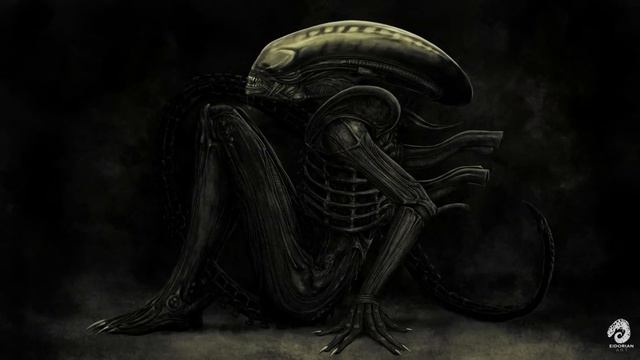 Ответы на вопросы - путь к успеху и счастью