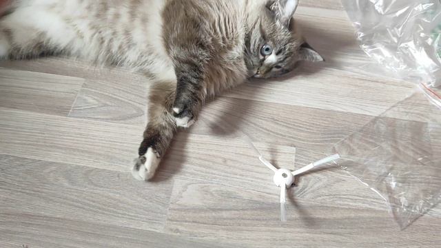 67acd09645a71d8091e31a9a806dd1b3