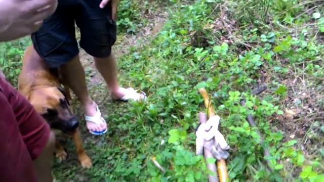 Пермакультурная грядка часть 1 (основы пермакультура)