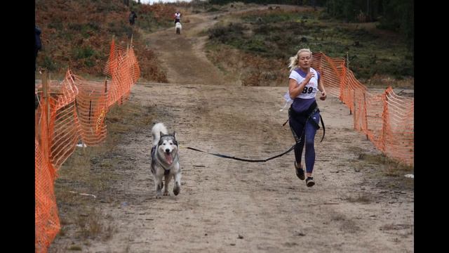 ПИТОМНИК ОТ ФИЛИППОВОЙ НА ГОНКАХ 14 15 10 2017
