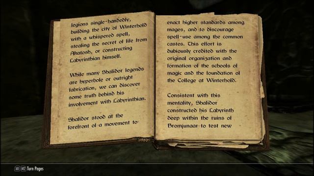 Let's Read Skyrim: A Minor Maze