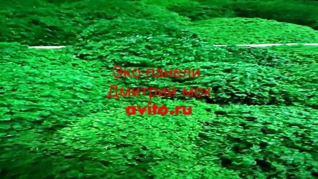 67156b75a77ca933e1ba04d01aafd8c7