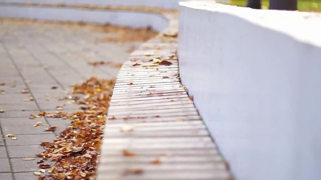 B8b36c7a1e43045798c3f9a6b9fb8232