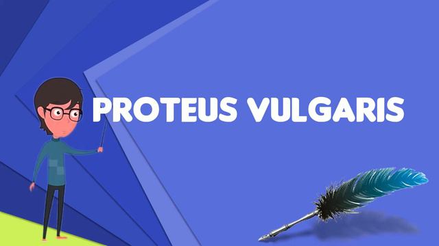 What Is Proteus Vulgaris?, Explain Proteus Vulgaris, Define Proteus Vulgaris