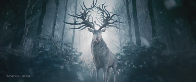 Technical Hitch - Mother North