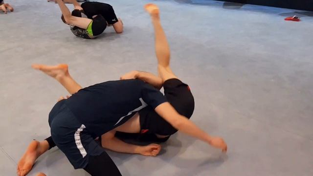 Brazilian Jiu-Jitsu (no-gi) Training