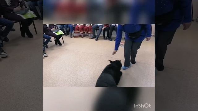 Ризен Зоря и дети