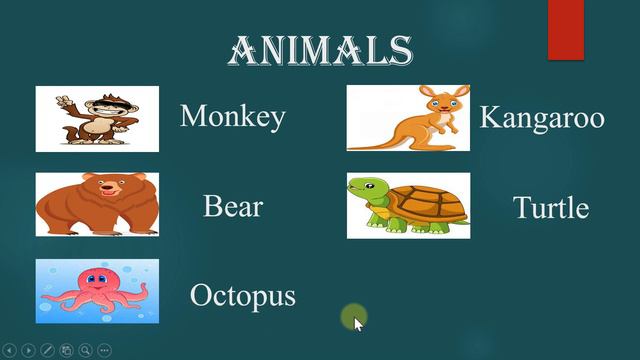 50animals Name In English សត្វទាំង៥០ជាភាសាអង់គ្លេស