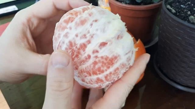 Искусство и Таланты