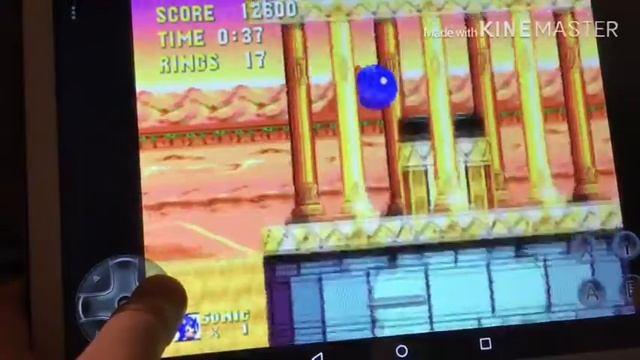 СОНИК - МАНИЯ, МАСТЕР СИСТЕМ, АДВЕНС 3........ Пушок и клёвые соник игры!