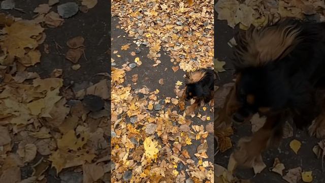 825b907d6ede4ae25480ac0f0970ac1e