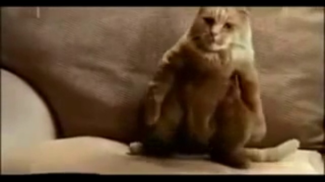 183bf2be8d932d3bf1295554569ccd65