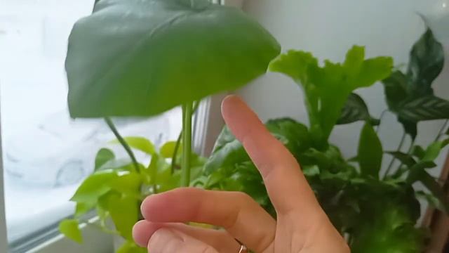 318b520a91f5a9de66daf82fe996548b