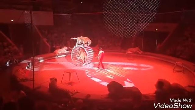 ШОУ ВЕЩИЙ СОН! ЦИРК БРАТЬЕВ ЗАПАШНЫХ