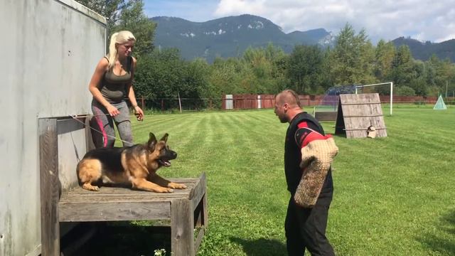 D254f017c9fb4d8d22efff7e4fe05da0