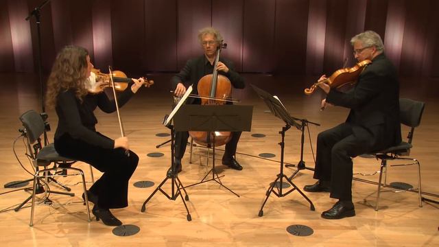 Das Philharmonische Streichtrio Spielt Gideon Klein