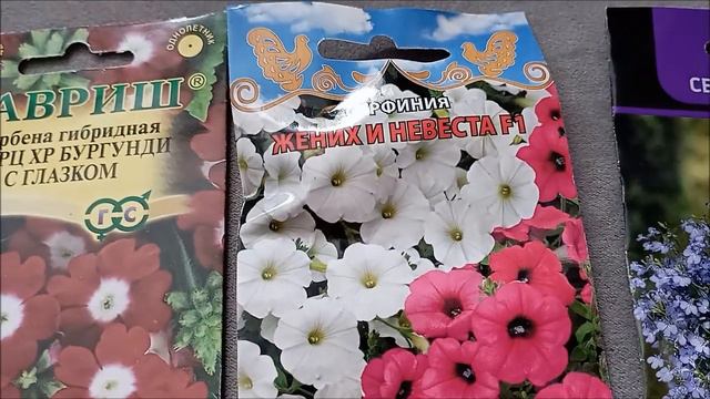 Что посеять в феврале ? Часть 2.