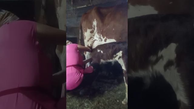 Первый раз кушаем