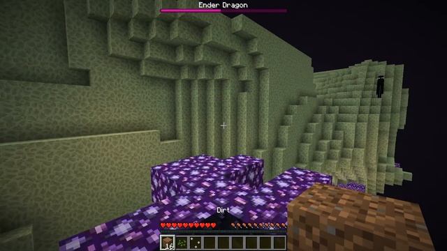 KILLING THE ENDER DRAGON!! | Minecraft Ice And Fire