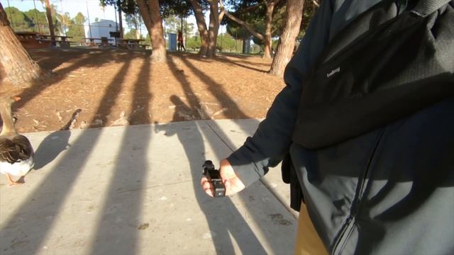 7 Epic Gimbal Shots Featuring The DJI Pocket 3