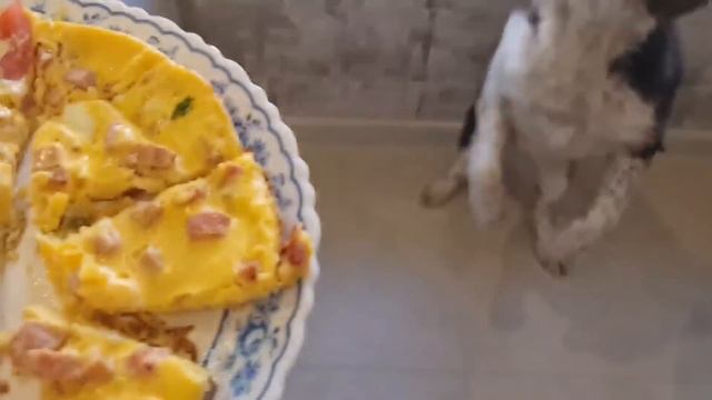 Днепр‼️Снова раскопки‼️Любимые яйца‼️ Из Европы лучше⁉️