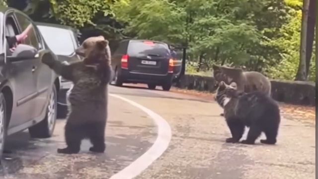 40 Случаев когда очень повезло