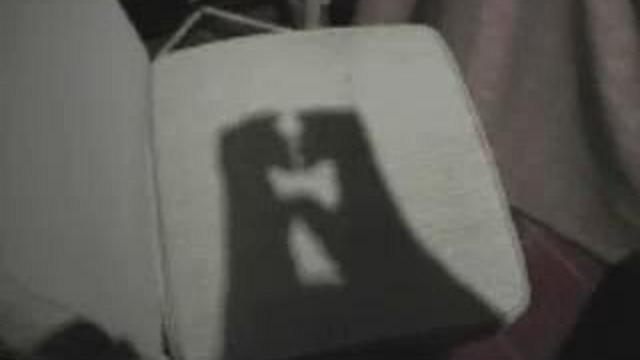 Две обезьянки