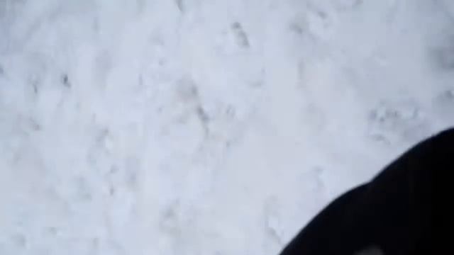 Снегоход. В районе д. Ермолаево. 26.12.2015