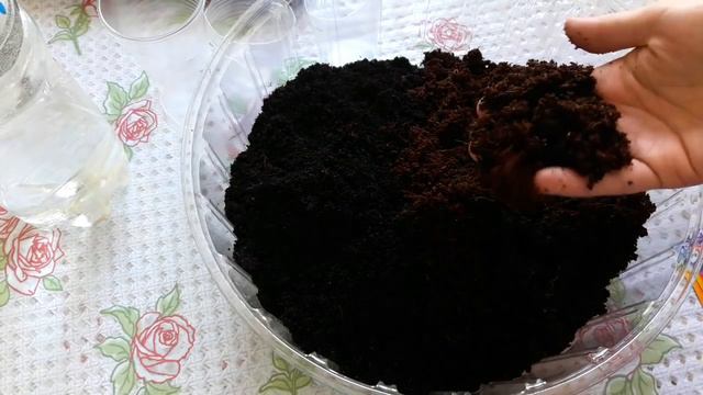 0cd6139555b2fc88fdced52493fe65a9