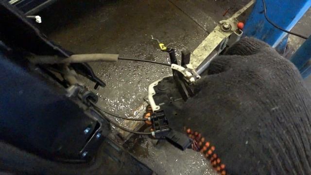 Как украсить свой дом с помощью растений