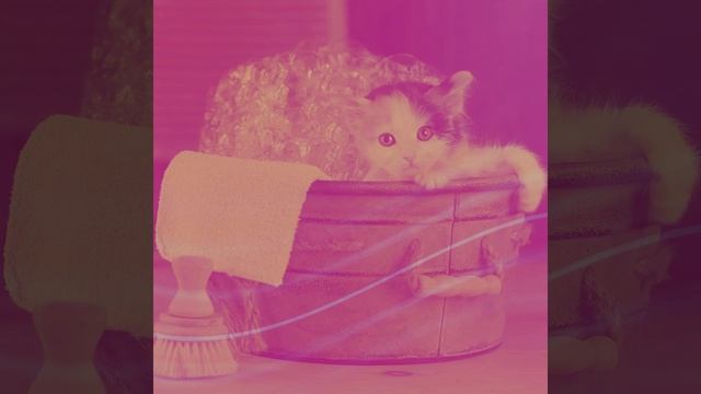 7005d9f1a02ad862bcf87989751f2c12